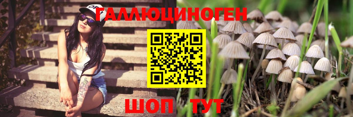 Ипатово  Галлюциногенные грибы Psilocybe  Псилоцибиновые грибы мухоморы  Вход с VPN 